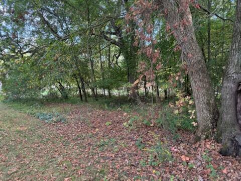 Homes for sale in Belding, MI | 129 Midway St, Belding, MI 48809 | MLS# 70495227