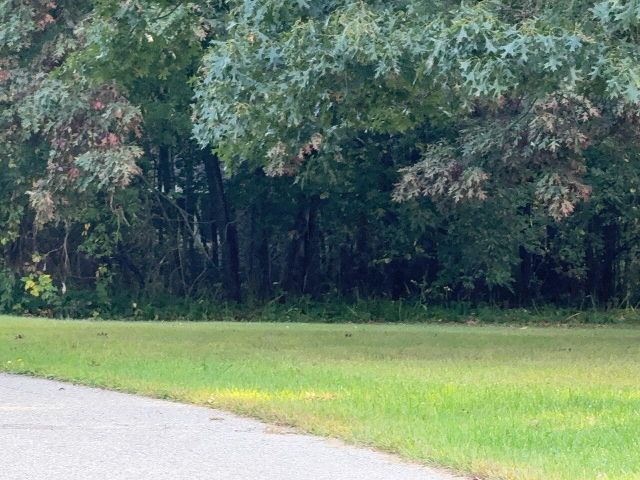 Homes for sale in Belding, MI | 129 Midway St, Belding, MI 48809 | MLS# 70495227