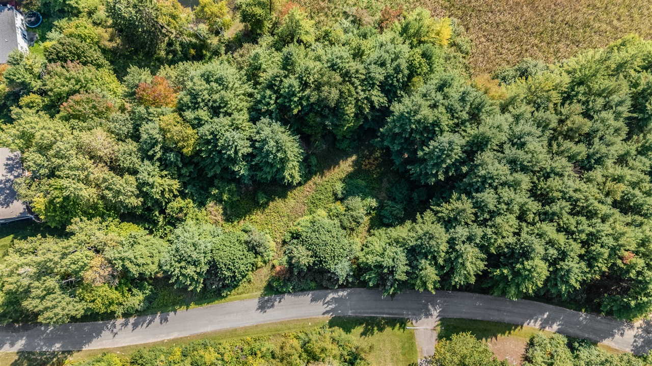 Homes for sale in Big Rapids, MI | Lot 15 Executive Dr, Big Rapids, MI 49307 | MLS# 70495270