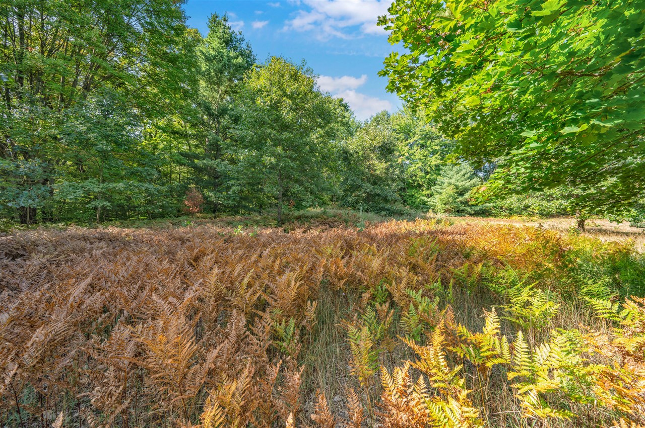 Homes for sale in Big Rapids, MI | Lot 6 University Club Dr, Big Rapids, MI 49307 | MLS# 70495271