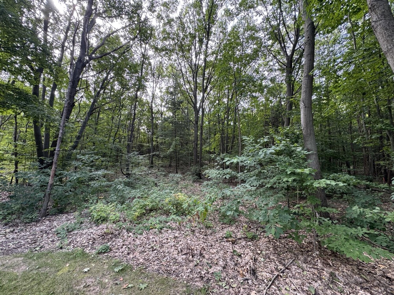 Homes for sale in South Haven, MI | 76757 Wood Crest Court, South Haven, MI 49090 | MLS# 70495337