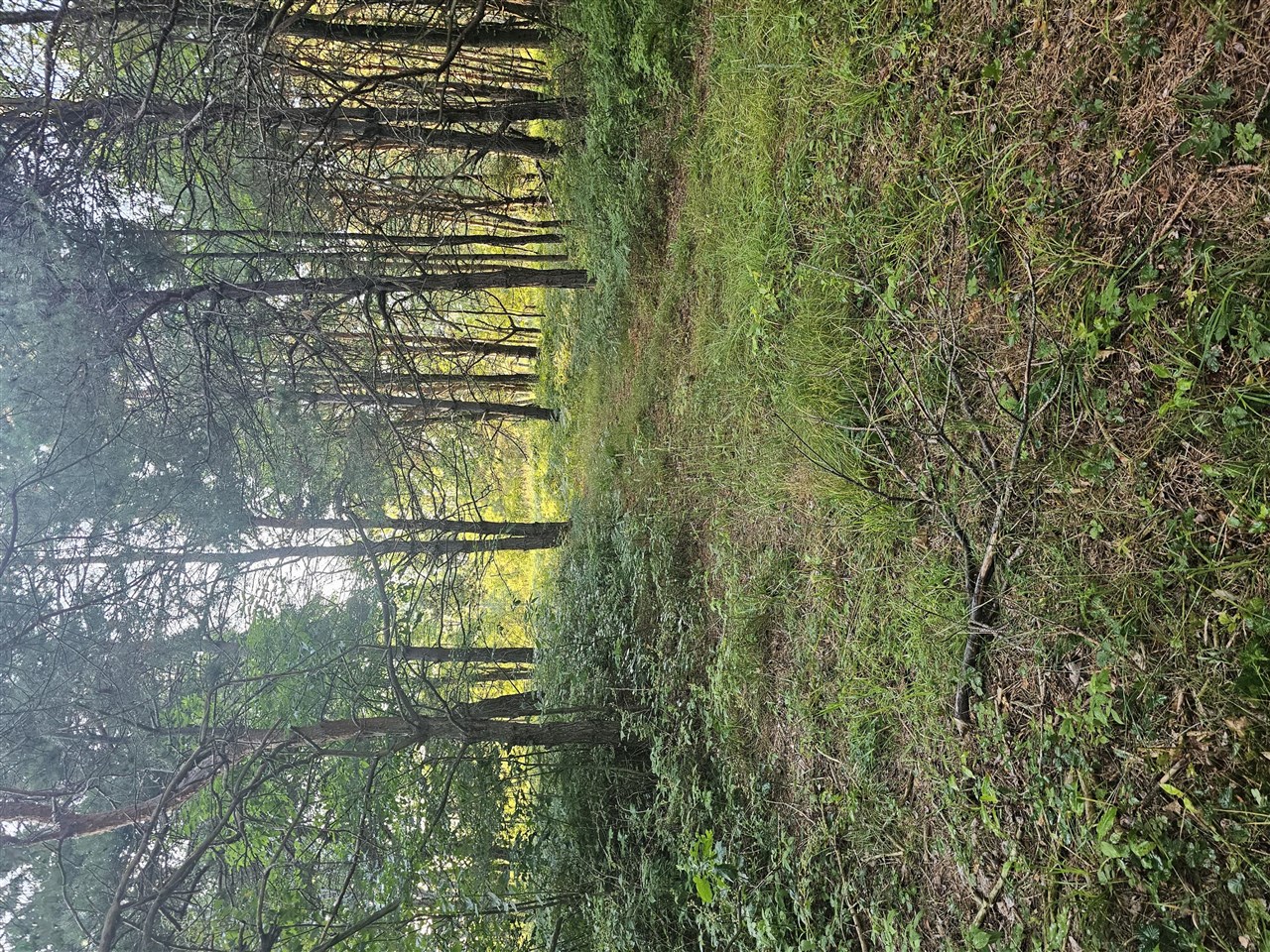 Homes for sale in Kaleva, MI | 15410 Johnson Rd, Kaleva, MI 49645 | MLS# 70495419