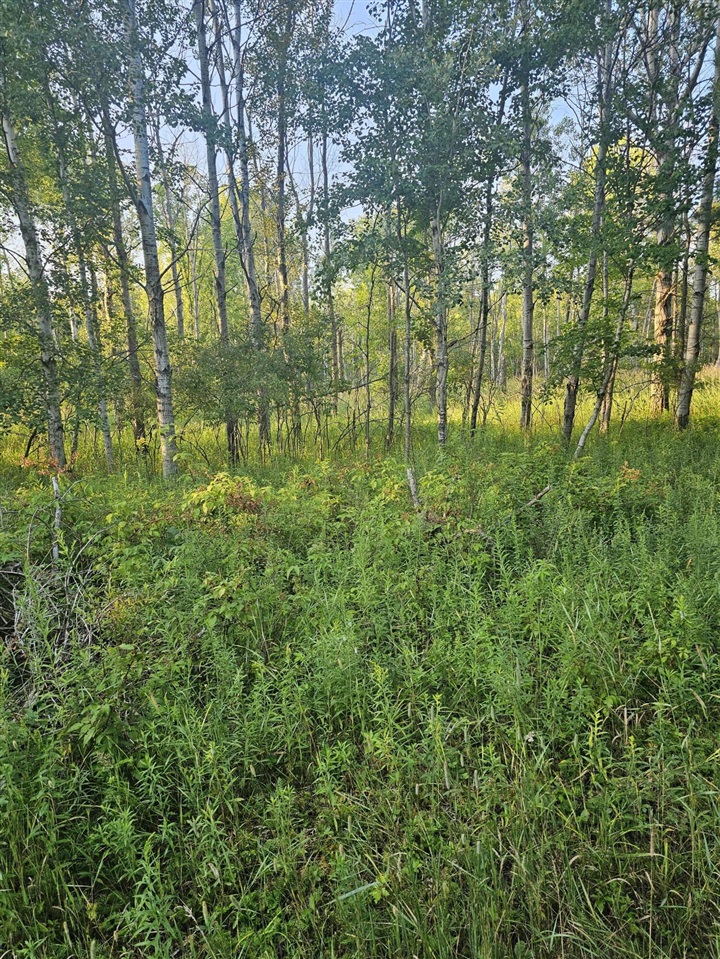 Homes for sale in Kaleva, MI | 15410 Johnson Rd, Kaleva, MI 49645 | MLS# 70495419