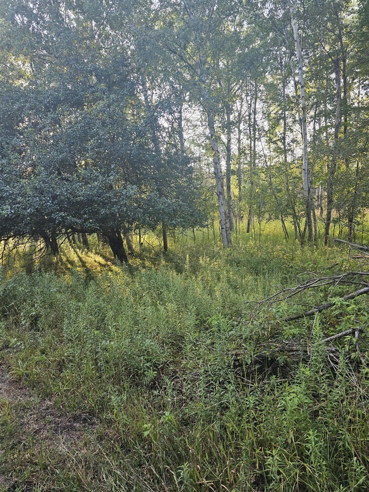 Homes for sale in Kaleva, MI | 15410 Johnson Rd, Kaleva, MI 49645 | MLS# 70495419