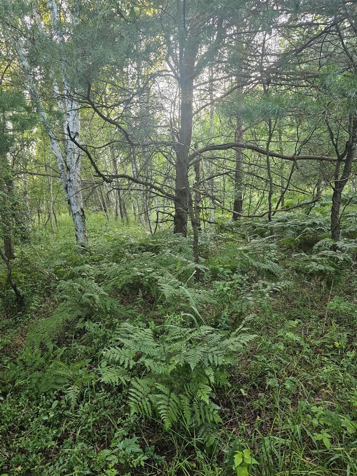 Homes for sale in Kaleva, MI | 15410 Johnson Rd, Kaleva, MI 49645 | MLS# 70495419