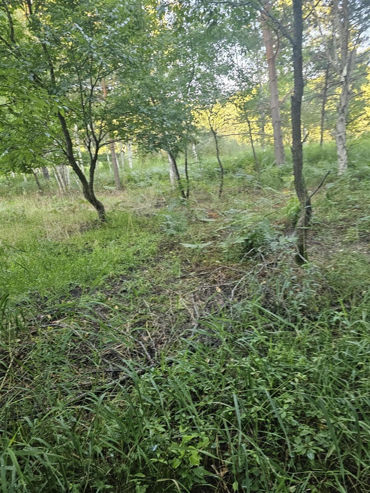 Homes for sale in Kaleva, MI | 15410 Johnson Rd, Kaleva, MI 49645 | MLS# 70495419