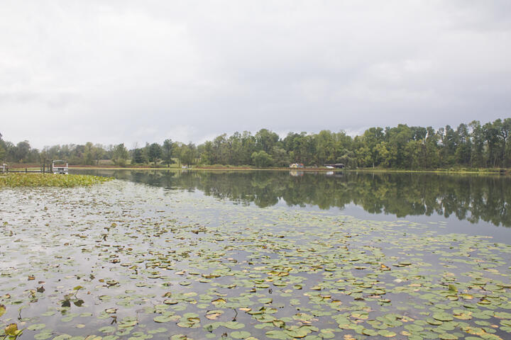 Homes for sale in Marcellus, MI | 10060 M 216, Marcellus, MI 49067 | MLS# 70495785