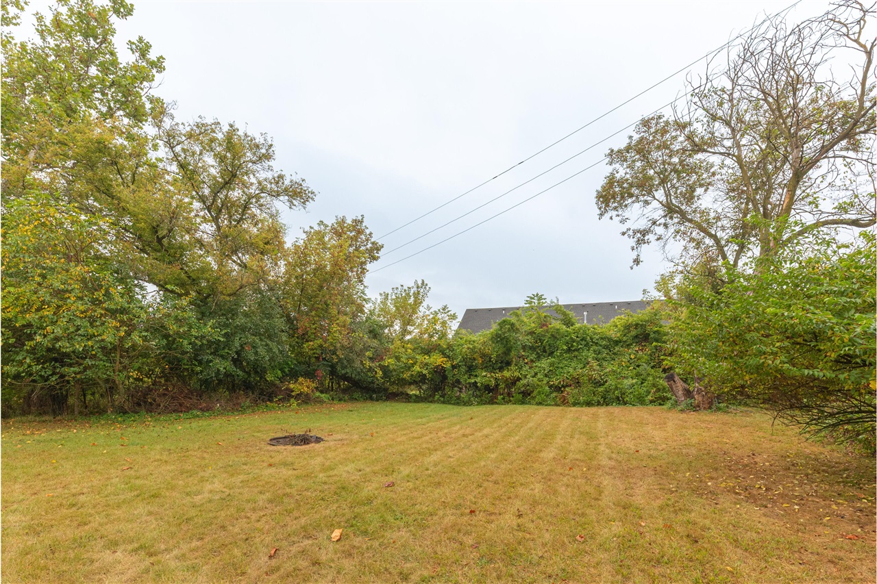 Homes for sale in Saline, MI | 224 Monroe St, Saline, MI 48176 | MLS# 70495803