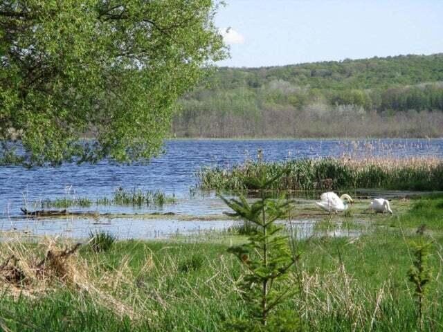 Homes for sale in Onekama, MI | Maidens Rd, Onekama, MI 49675 | MLS# 70495905