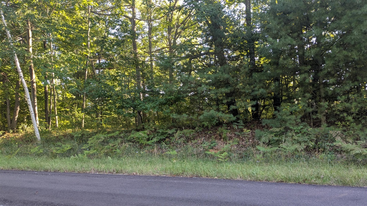 Homes for sale in Onekama, MI | Maidens Rd, Onekama, MI 49675 | MLS# 70495905