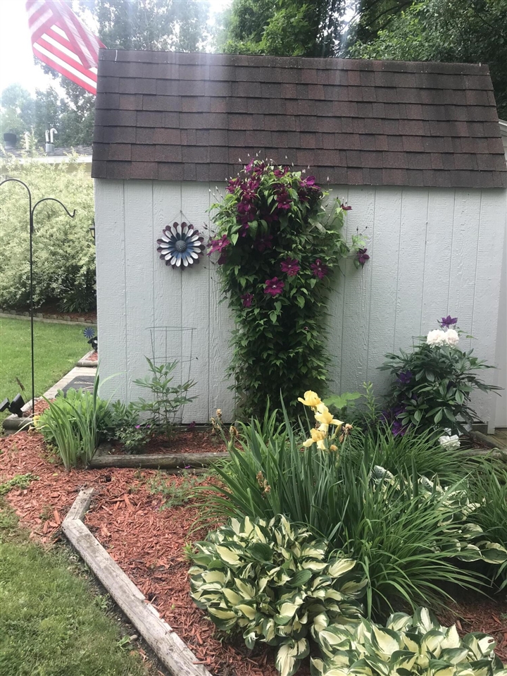 Homes for sale in Jackson, MI | 3363 Buckthorn Cir, Jackson, MI 49201 | MLS# 70495935