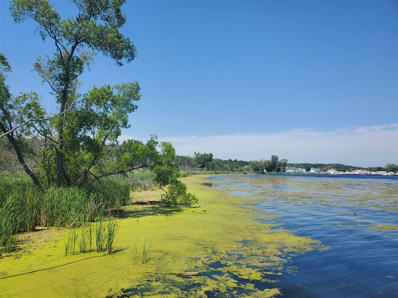 Homes for sale in Montague, MI | Lot 3 Old Channel Trail, Montague, MI 49437 | MLS# 70496038