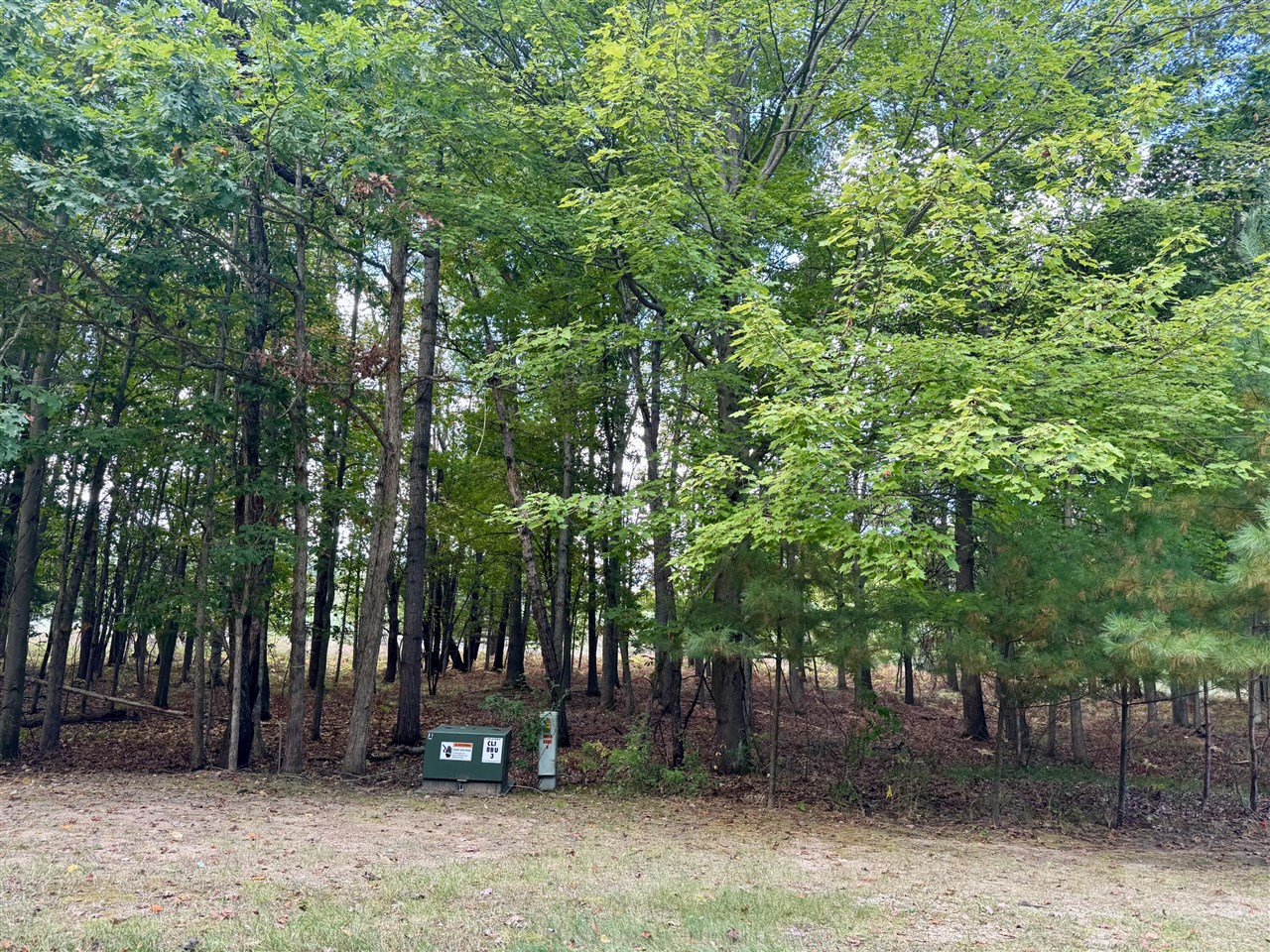 Homes for sale in Canadian Lakes, MI | 6485 Dunhill Dr, Canadian Lakes, MI 49346 | MLS# 70496134