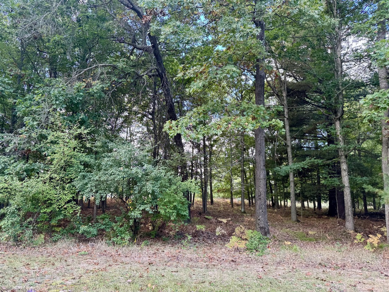 Homes for sale in Canadian Lakes, MI | 6485 Dunhill Dr, Canadian Lakes, MI 49346 | MLS# 70496134