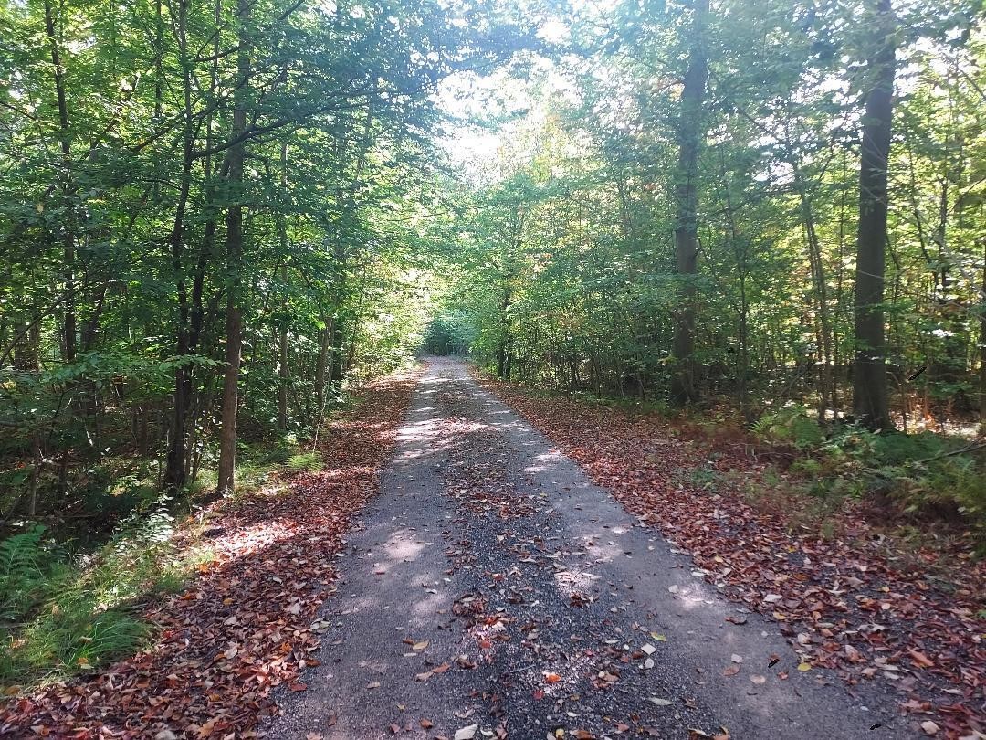 Homes for sale in Big Rapids, MI | 16698 220Th Ave, Big Rapids, MI 49307 | MLS# 70496326