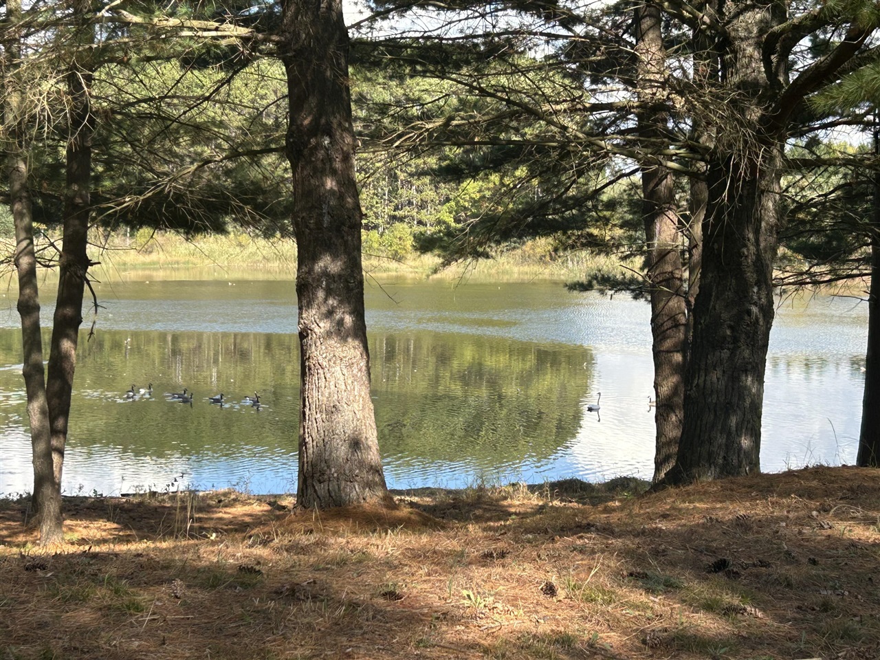 Homes for sale in Stanwood, MI | 6878 Bantry Bay, Stanwood, MI 49346 | MLS# 70496456