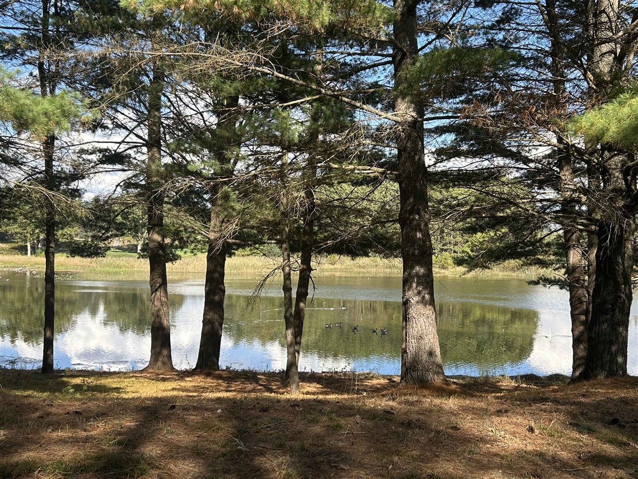 Homes for sale in Stanwood, MI | 6878 Bantry Bay, Stanwood, MI 49346 | MLS# 70496456