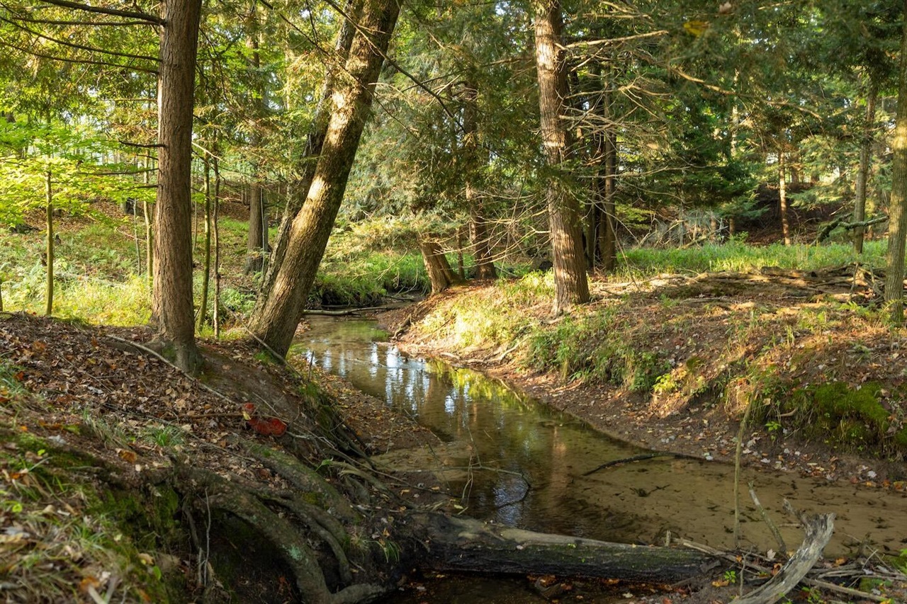 Homes for sale in Hesperia, MI | 5125 S 148th Ave, Hesperia, MI 49421 | MLS# 70496646