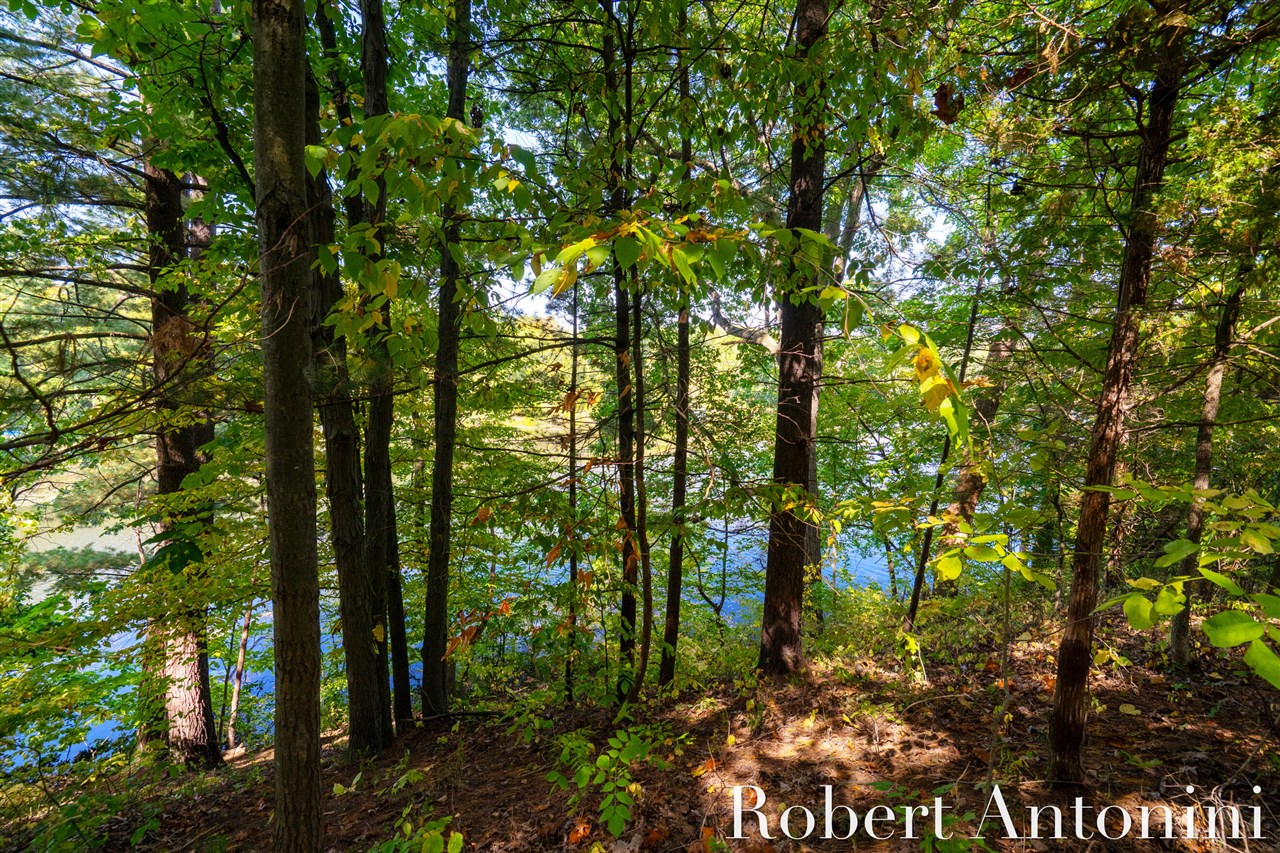 Homes for sale in Lowell, MI | 14111 Thompson Dr, Lowell, MI 49331 | MLS# 70496818