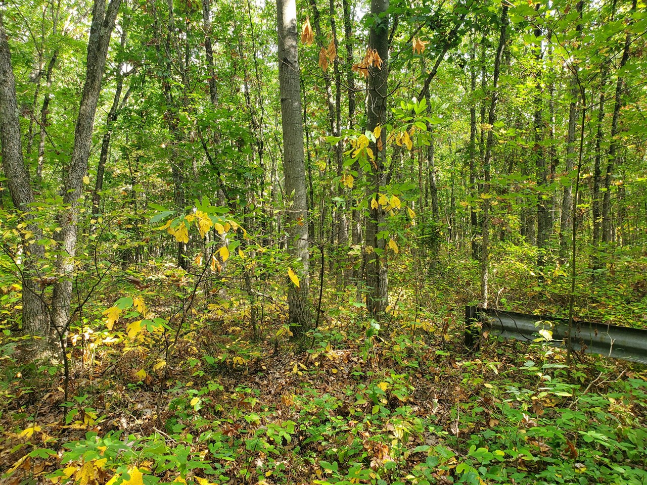 Homes for sale in Allegan, MI | 113th, Allegan, MI 49010 | MLS# 70496885