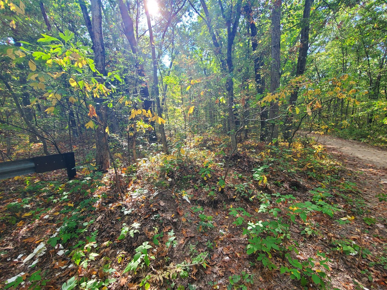 Homes for sale in Allegan, MI | 113Th, Allegan, MI 49010 | MLS# 70496885