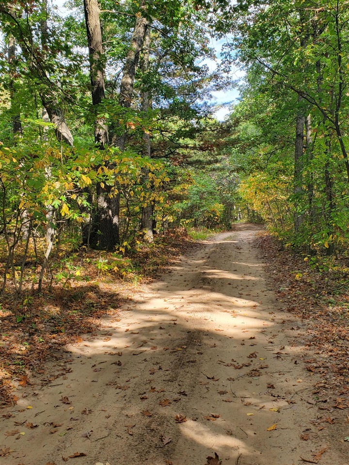 Homes for sale in Allegan, MI | 113Th, Allegan, MI 49010 | MLS# 70496885