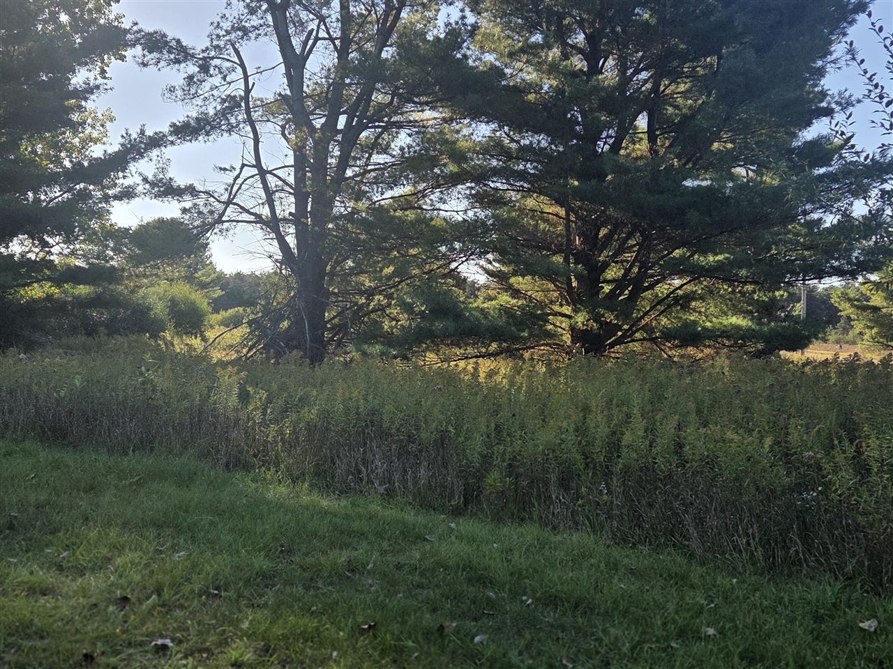 Homes for sale in Canadian Lakes, MI | 11517 Pine Crest Dr, Canadian Lakes, MI 49346 | MLS# 70497390