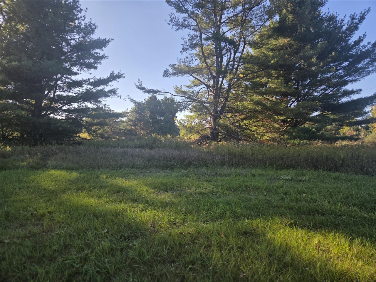 Homes for sale in Canadian Lakes, MI | 11517 Pine Crest Dr, Canadian Lakes, MI 49346 | MLS# 70497390