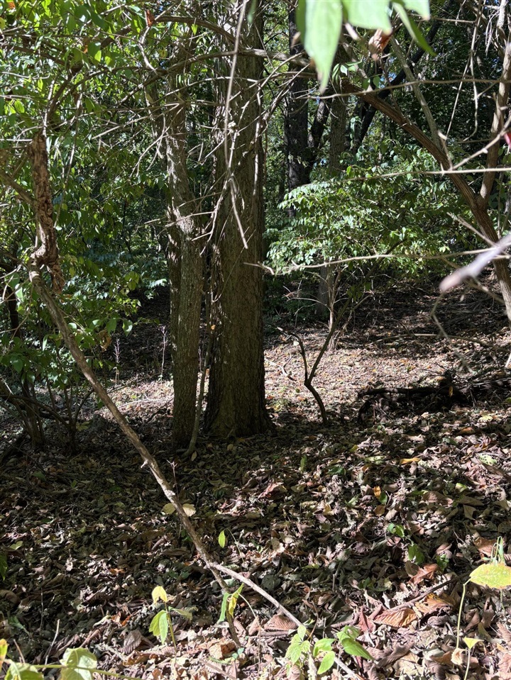 Homes for sale in Kalamazoo, MI | 665 Shields St, Kalamazoo, MI 49048 | MLS# 70497815