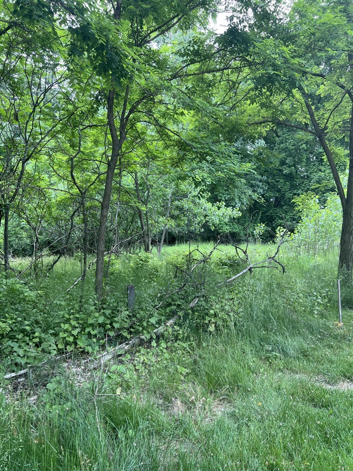 Homes for sale in Kalamazoo, MI | 2138 2200 Shelter Pointe Dr, Kalamazoo, MI 49008 | MLS# 70497830