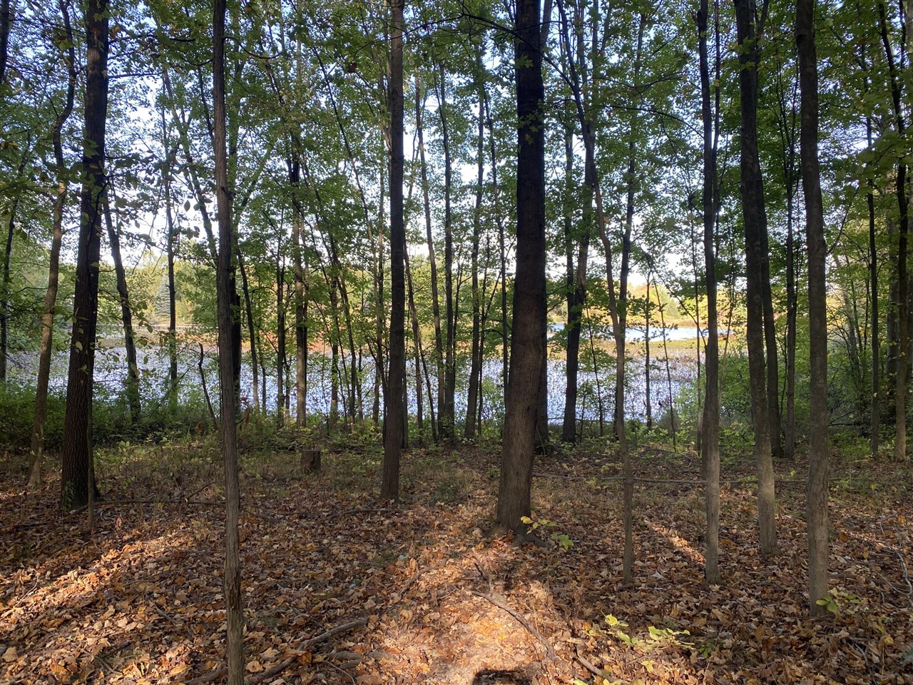 Homes for sale in Alto, MI | 9540 Vincent Ave, Alto, MI 49302 | MLS# 70498040