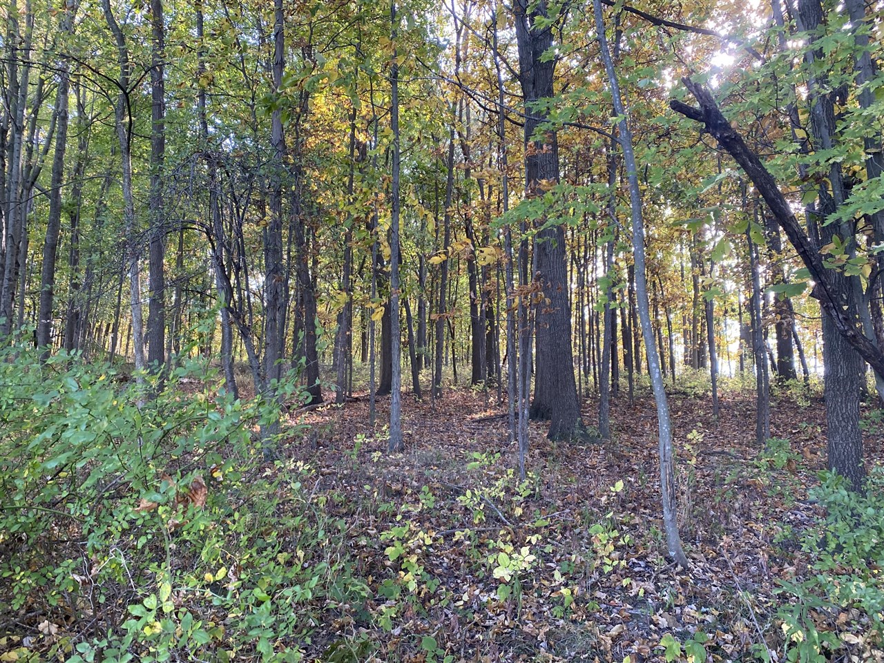 Homes for sale in Alto, MI | 9540 Vincent Ave, Alto, MI 49302 | MLS# 70498040