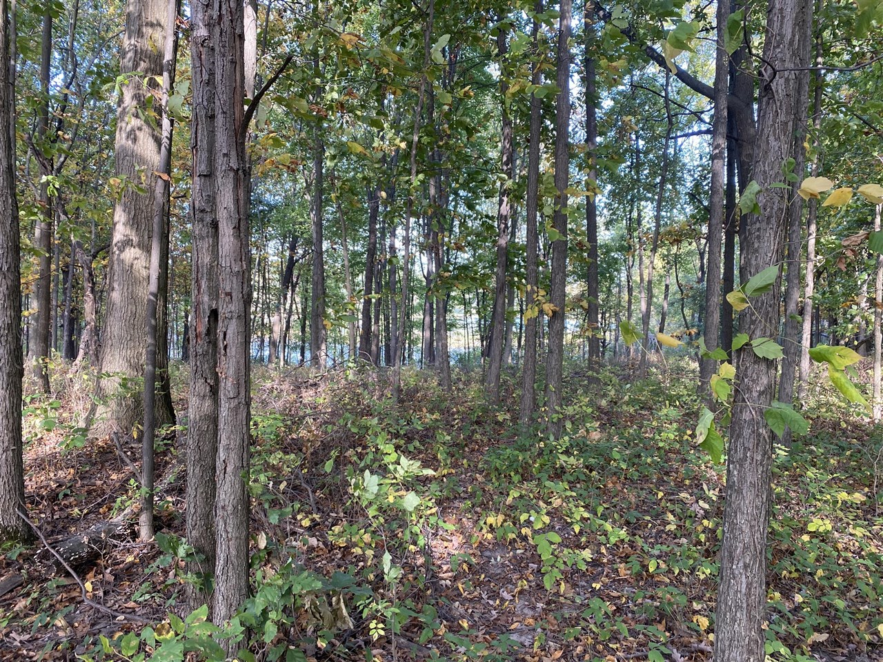 Homes for sale in Alto, MI | 9540 Vincent Ave, Alto, MI 49302 | MLS# 70498040