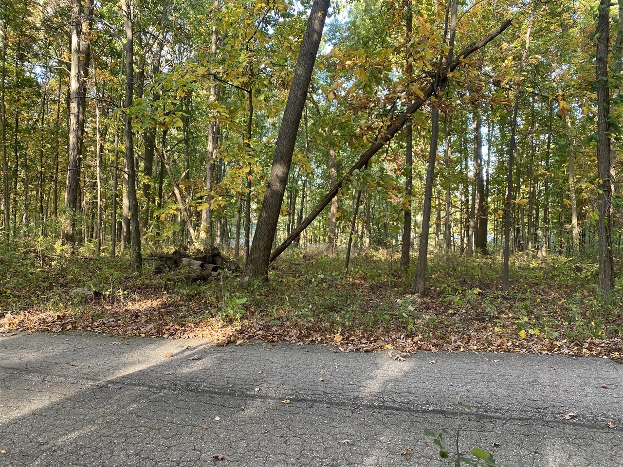 Homes for sale in Alto, MI | 9540 Vincent Ave, Alto, MI 49302 | MLS# 70498040