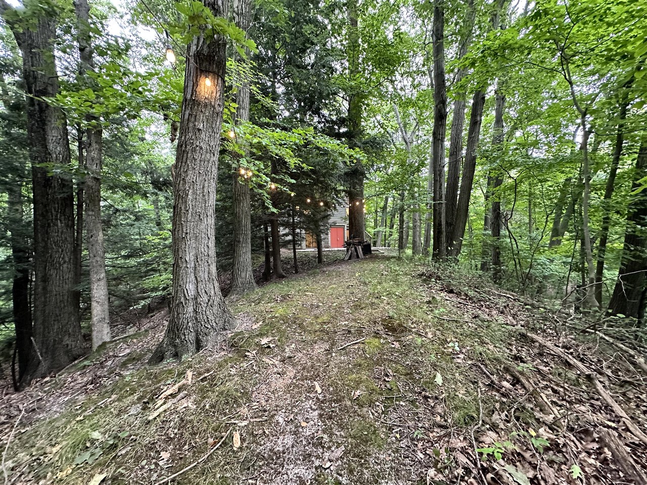 Homes for sale in Bridgman, MI | 0 Twin Oaks Rd, Bridgman, MI 49106 | MLS# 70498207