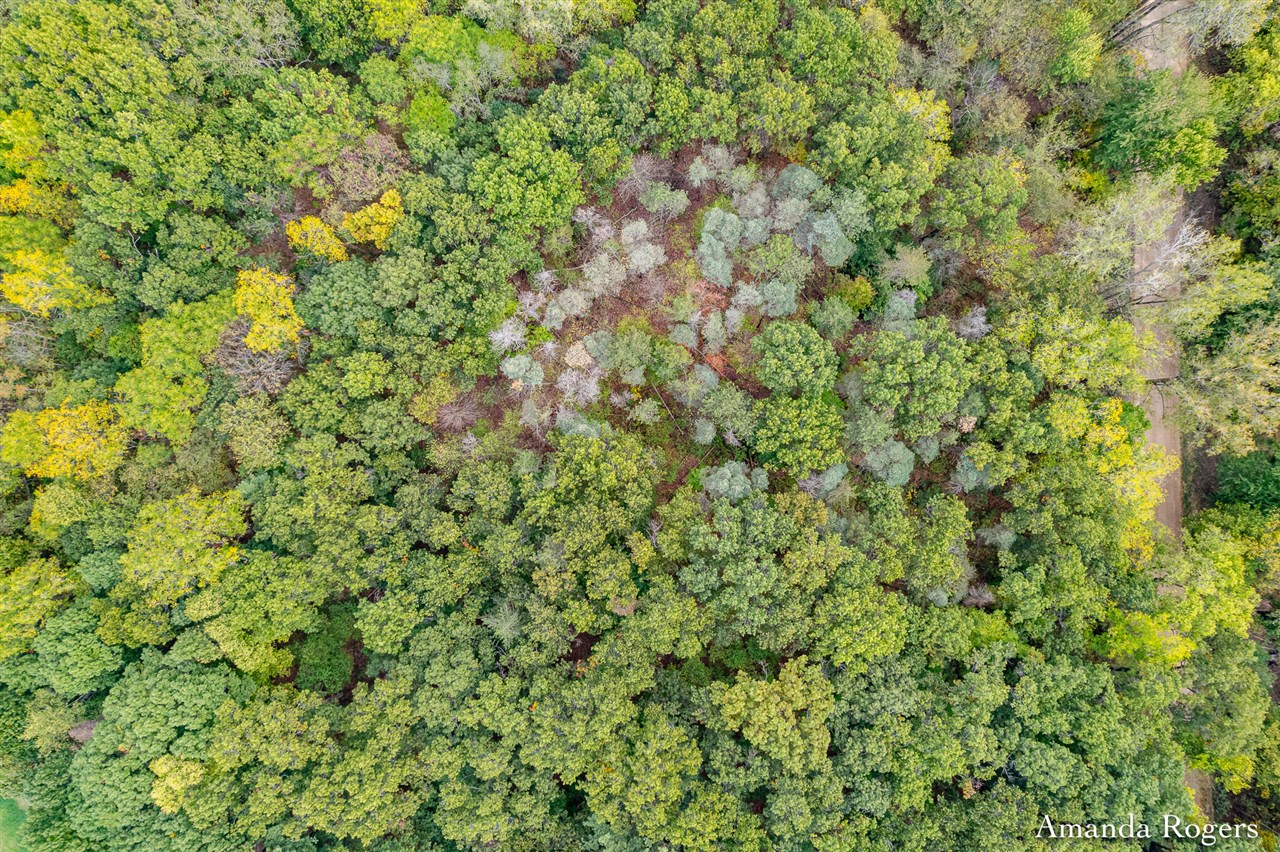 Homes for sale in Saranac, MI | 0 Sayles Rd, Saranac, MI 48881 | MLS# 70498268