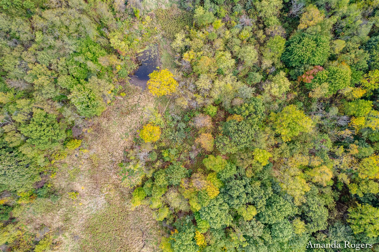 Homes for sale in Saranac, MI | 0 Sayles Rd, Saranac, MI 48881 | MLS# 70498268