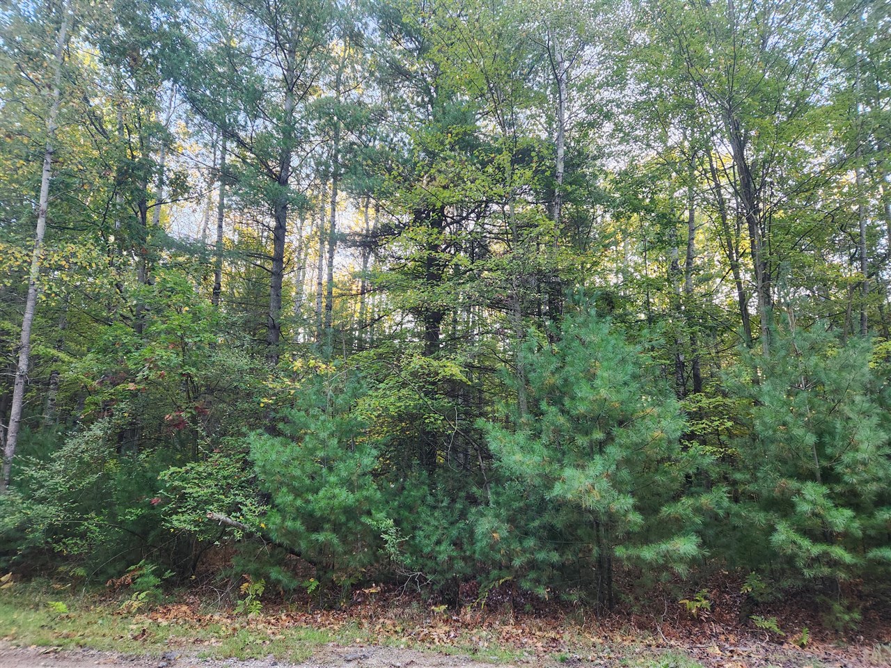 Homes for sale in Stanwood, MI | 6842 White Pine Dr, Stanwood, MI 49346 | MLS# 70498297