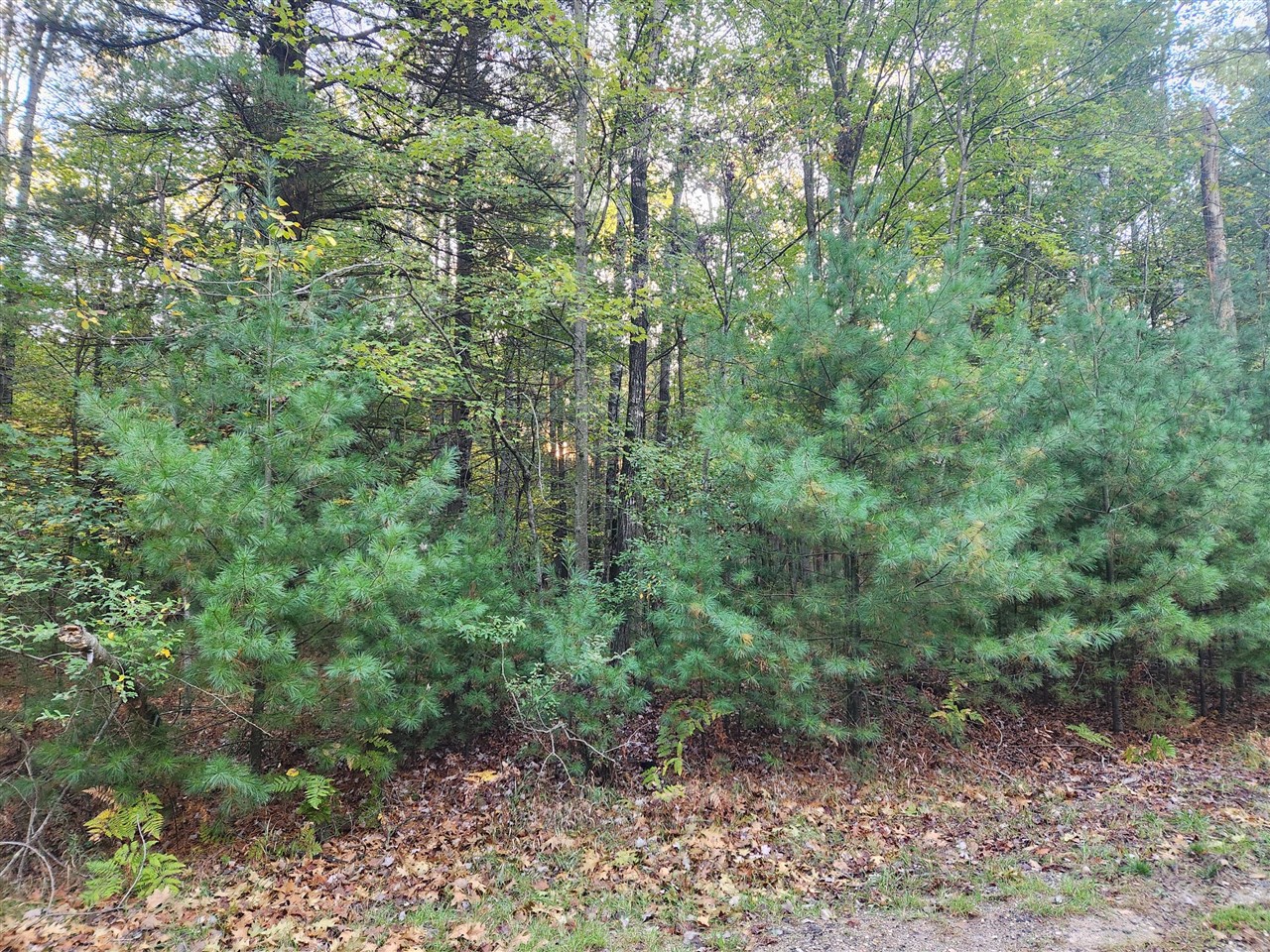 Homes for sale in Stanwood, MI | 6842 White Pine Dr, Stanwood, MI 49346 | MLS# 70498297