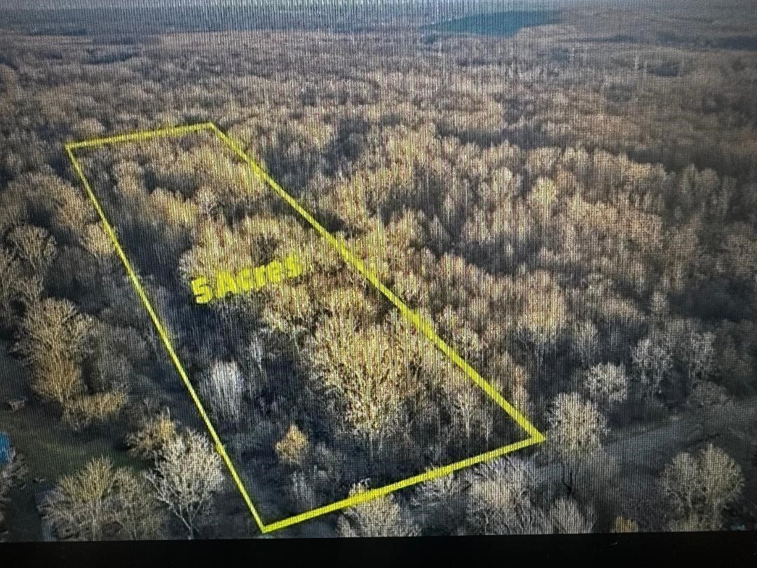 Homes for sale in New Boston, MI | 26055 Martinsville Rd, New Boston, MI 48164 | MLS# 70498424