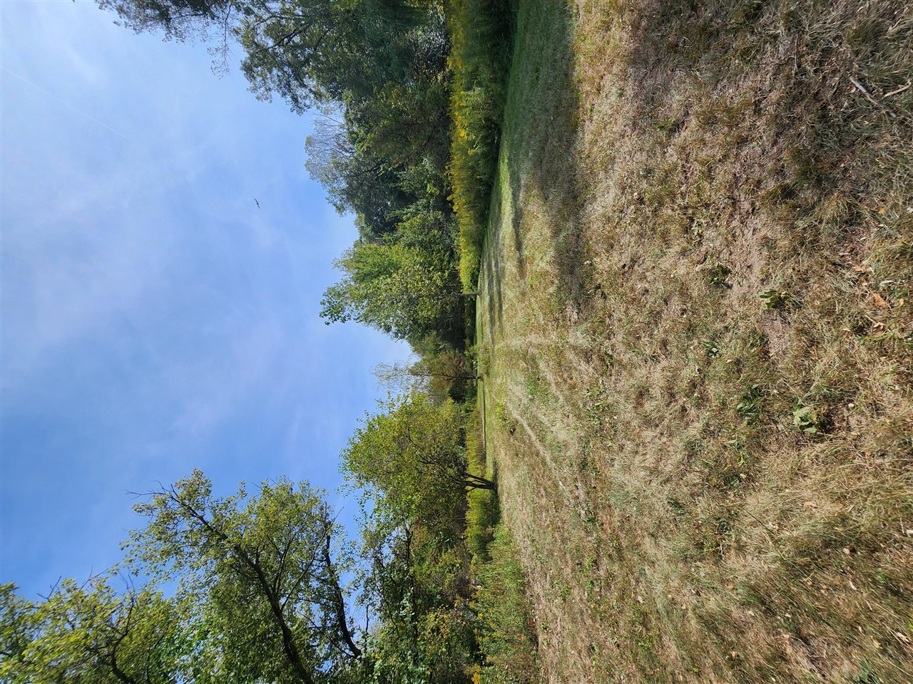 Homes for sale in New Boston, MI | 26055 Martinsville Rd, New Boston, MI 48164 | MLS# 70498424