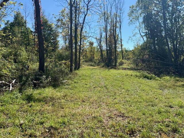 Homes for sale in Bloomingdale, MI | 42593 Cr 390, Bloomingdale, MI 49026 | MLS# 70498598