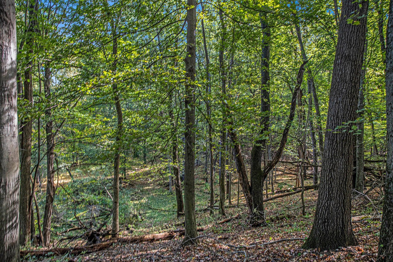 Homes for sale in Richland, MI | S Gull Lake Dr, Richland, MI 49083 | MLS# 70498616