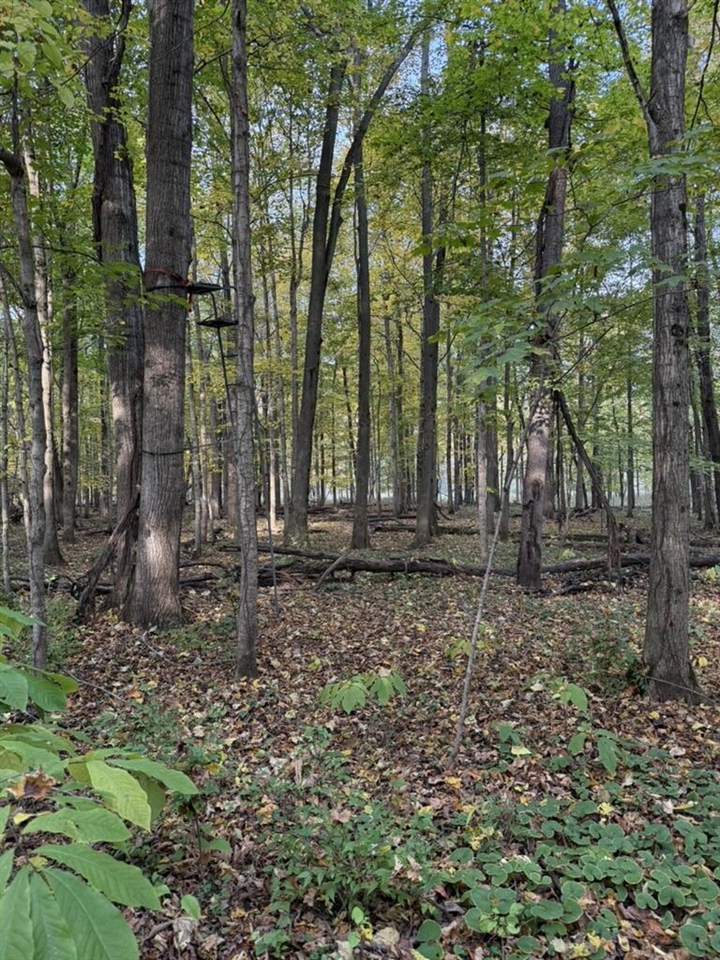 Homes for sale in Hastings, MI | 2255 River Rd, Hastings, MI 49058 | MLS# 70498651