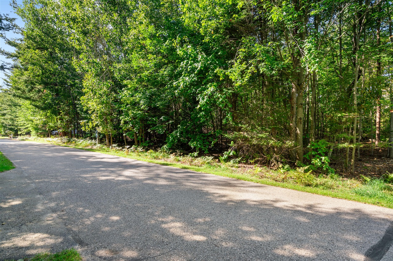 Homes for sale in Charlevoix, MI | 6 N Country Club Dr #6, Charlevoix, MI 49720 | MLS# 70498667