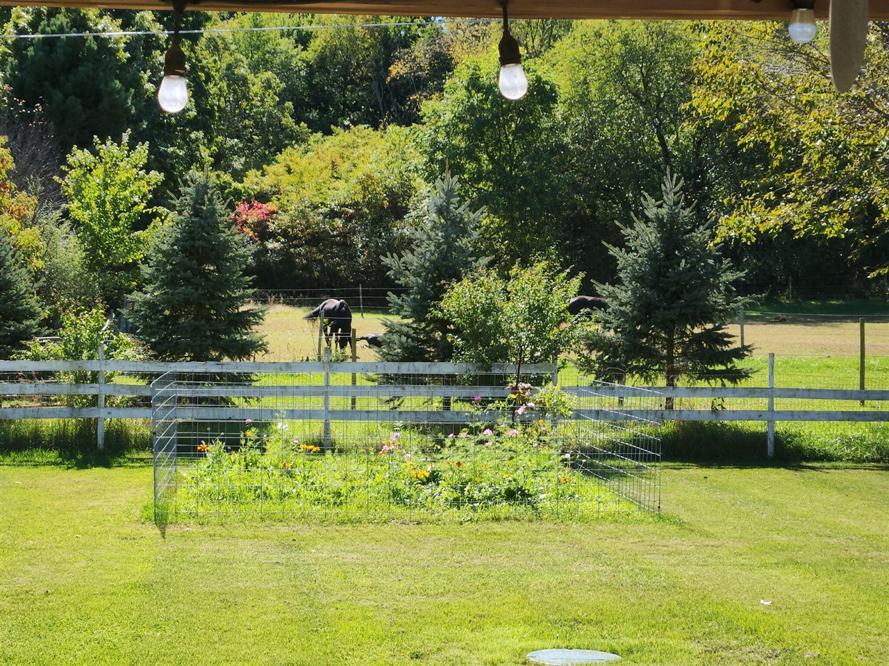 Homes for sale in Paw Paw, MI | 35473 Margurite Ln, Paw Paw, MI 49079 | MLS# 70498678