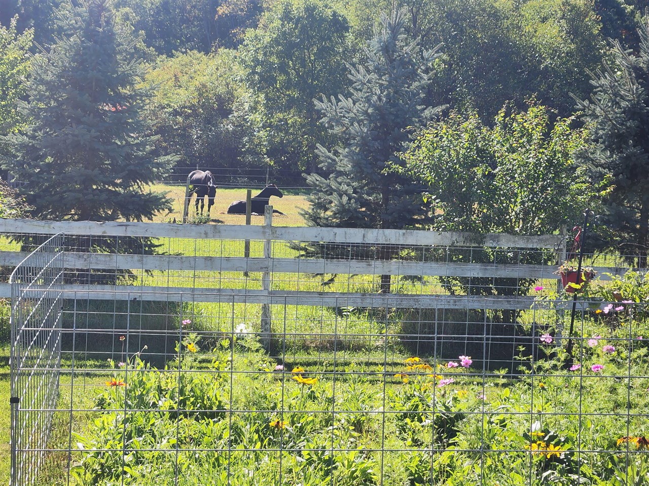 Homes for sale in Paw Paw, MI | 35473 Margurite Ln, Paw Paw, MI 49079 | MLS# 70498678