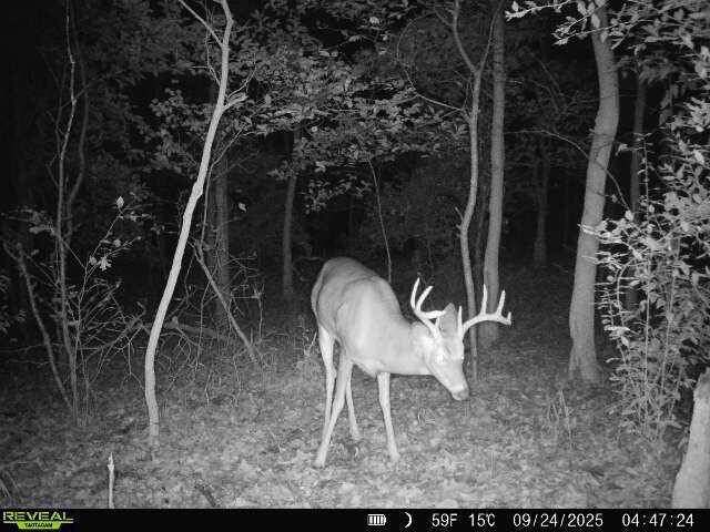 Homes for sale in Lowell, MI | 11689 Tj Ln, Lowell, MI 49331 | MLS# 70498712