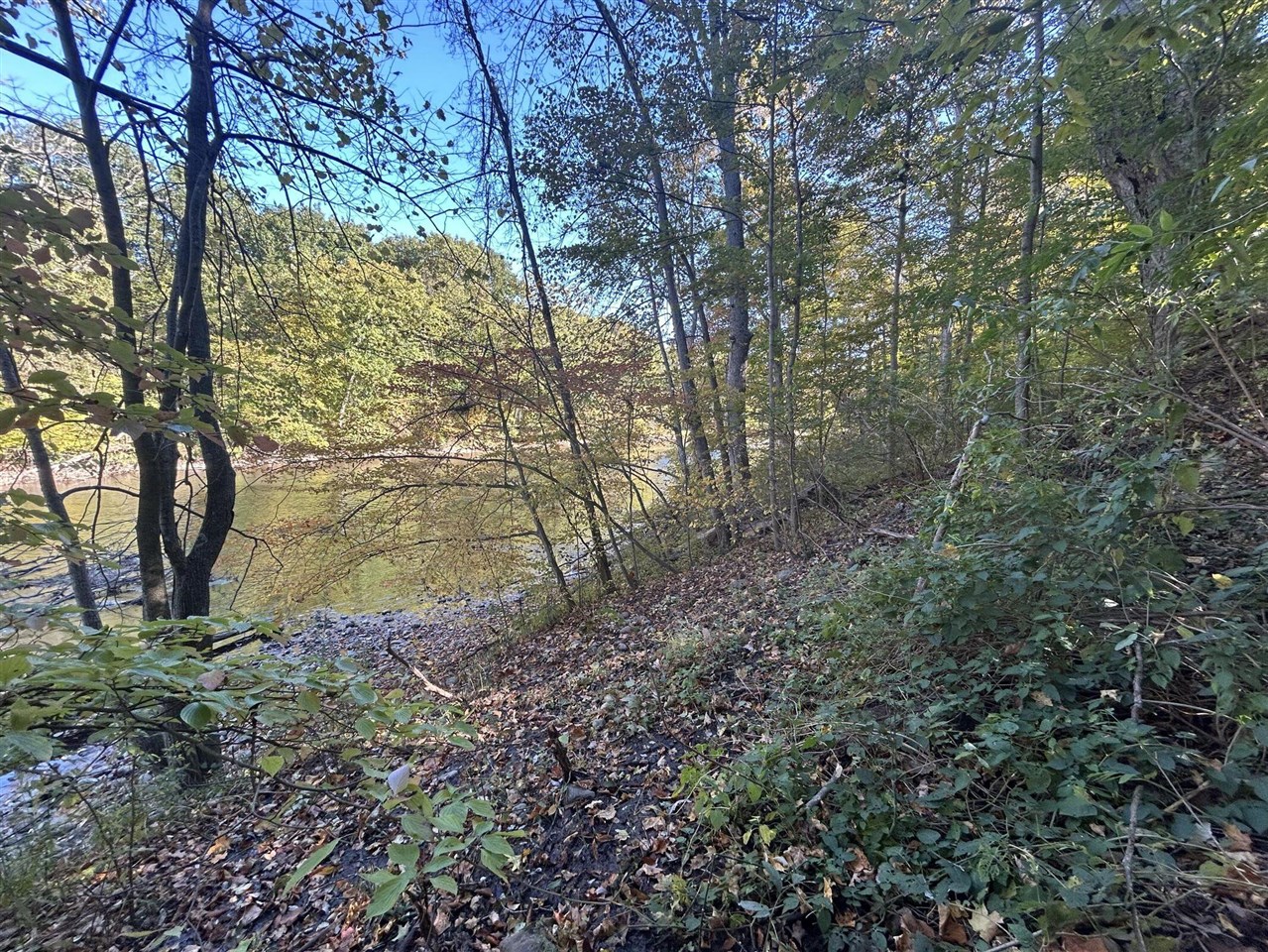 Homes for sale in Caledonia, MI | 8027 Thornapple River Dr, Caledonia, MI 49316 | MLS# 70498823