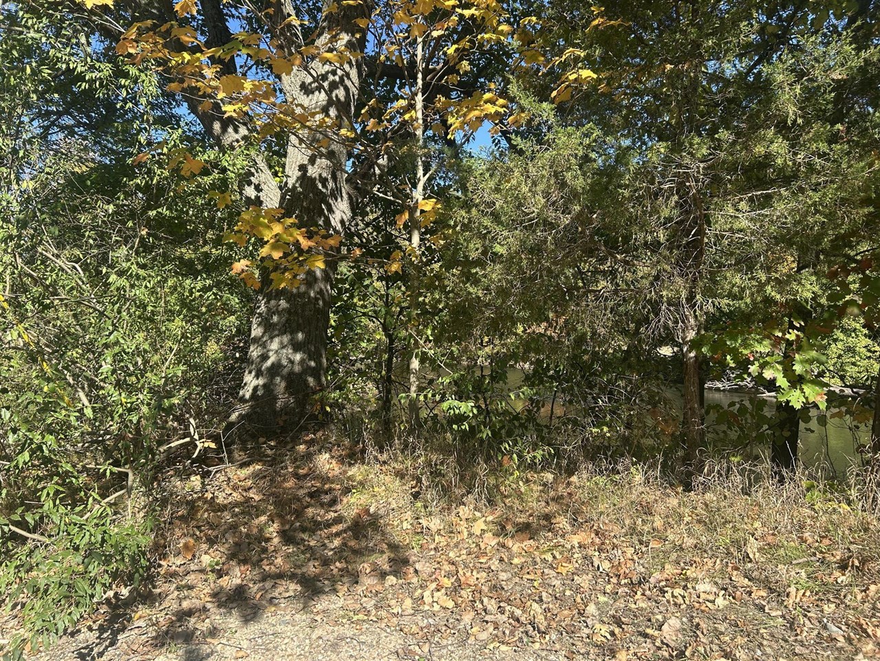 Homes for sale in Caledonia, MI | 8027 Thornapple River Dr, Caledonia, MI 49316 | MLS# 70498823